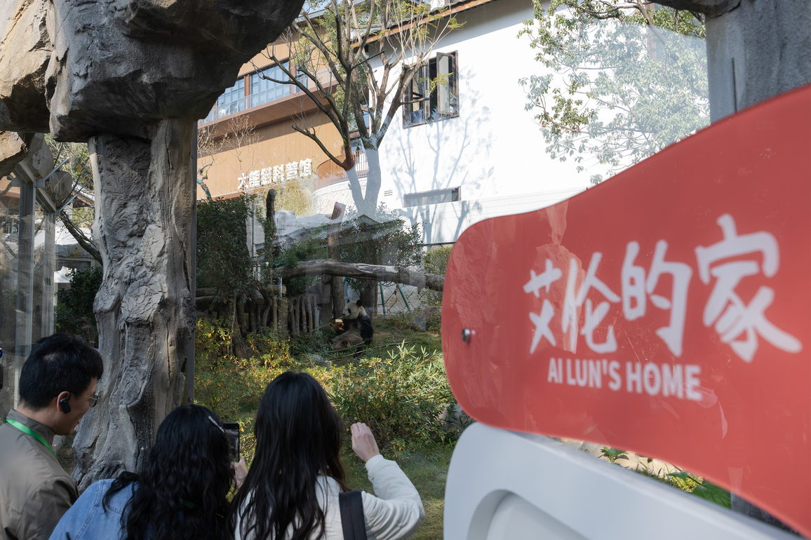 (FujianPano) CHINA-FUJIAN-FUZHOU-GIANT PANDA-NEW HOME (CN)