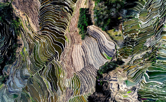 Yuanyang Hani Rice Terraces in southeastern Yunnan province, China | Credit: iStock