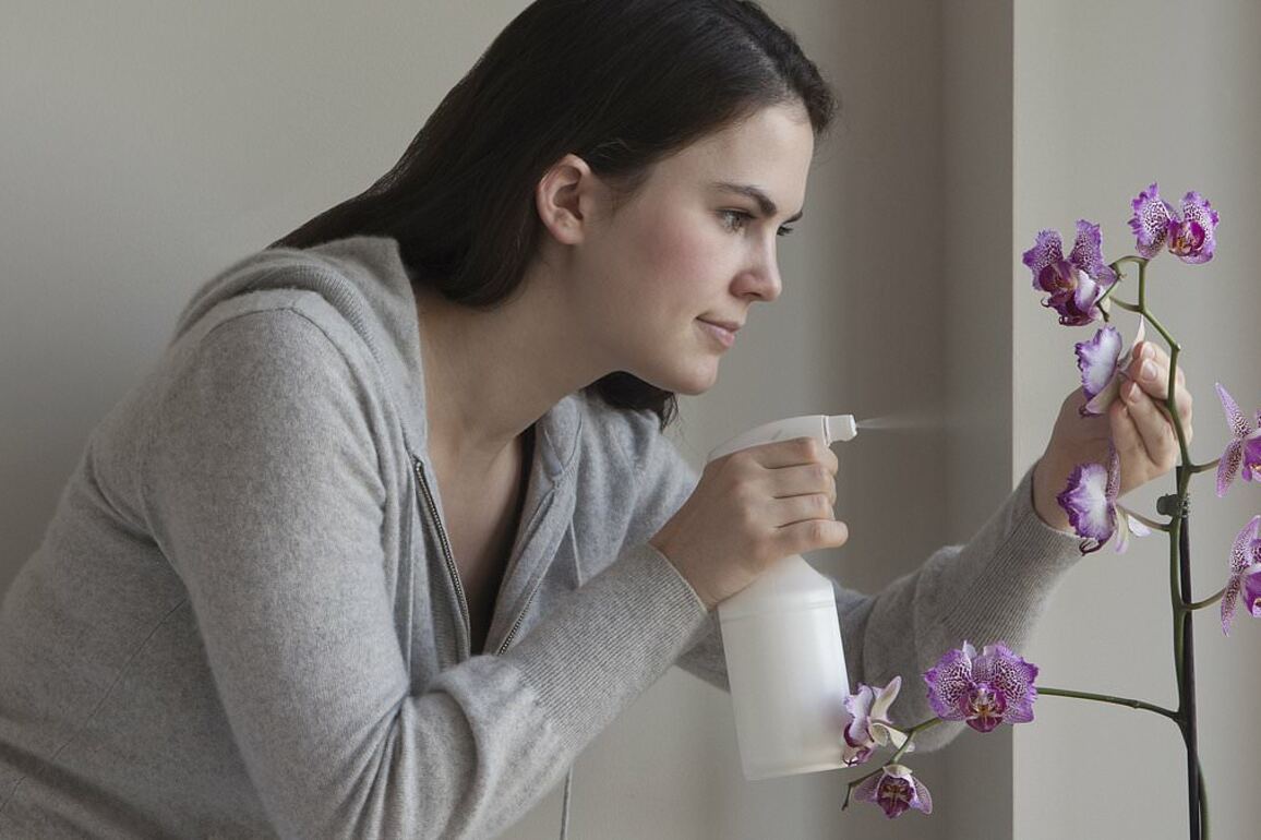 Experts reveal the huge gardening mistake that is stopping your orchids from flowering