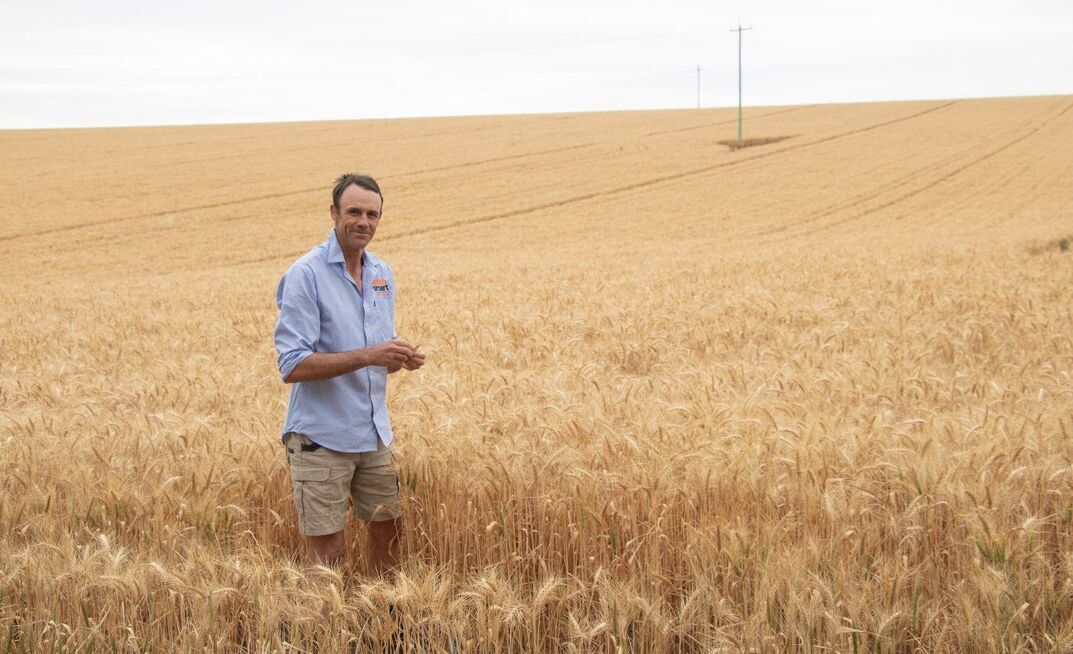 WeedSmart extension agronomist, said that WeedSmart Week 2026 will centre on how growers have implemented the WeedSmart Big 6 pillars to conserve soil moisture over summer, and optimise water efficiency to remain profitable despite variable climatic conditions. 