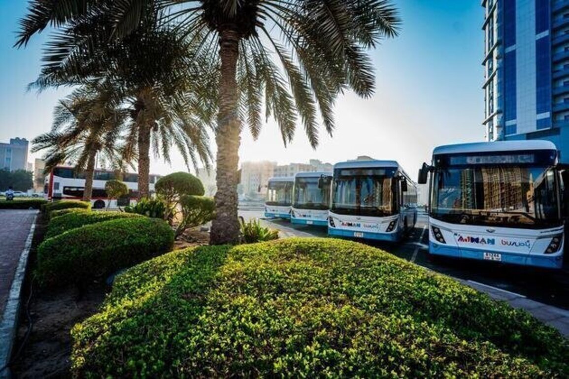 Ajman transport services return to normal