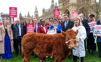 Young Farmer takes calf to Westminster to highlight importance of farming's next generation and small family farms in Britain