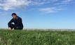  Dr Josh Fanning is aiming to identify soil-borne diseases unique to pulse and oilseed crops. Picture courtesy Agriculture Victoria.