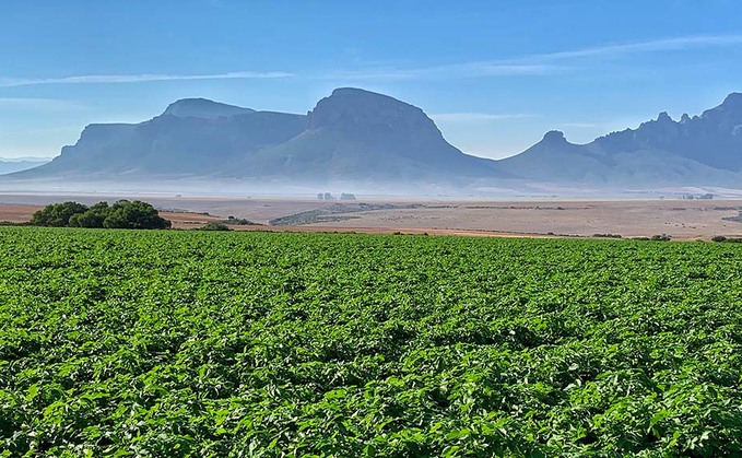 Eco-friendly dairy farming in the heart of South Africa's winelands