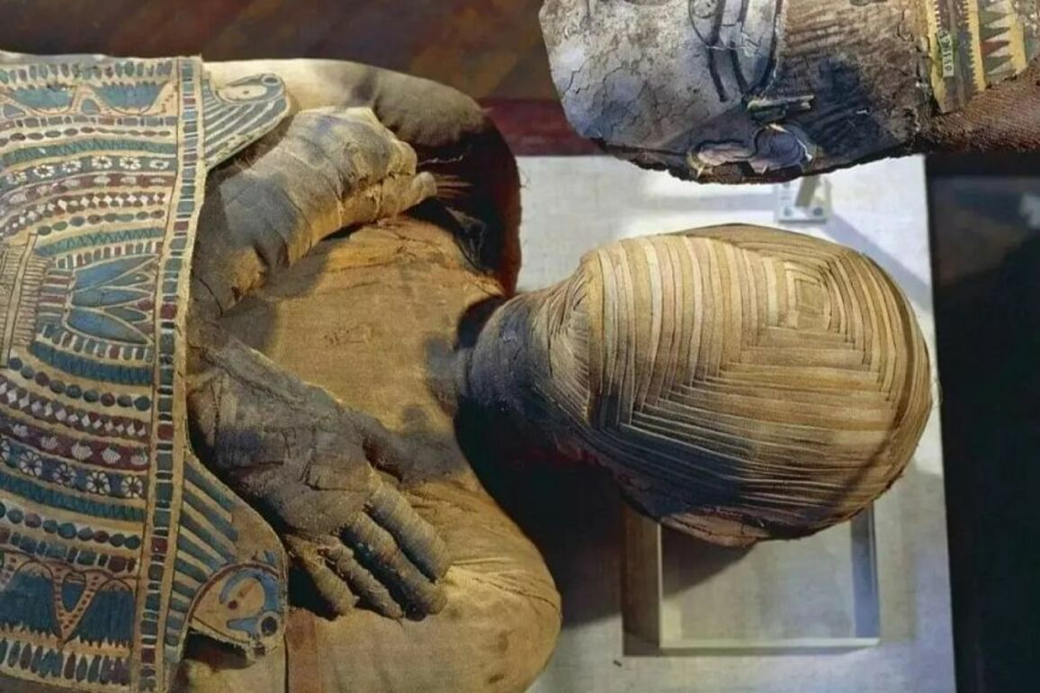 The Bashiri mystery- A 2,300-year-old Egyptian mummy that no archaeologist dares to open