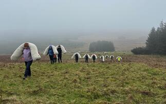 Locally sourced 'wool logs' help peatland restoration in Antrim hills 