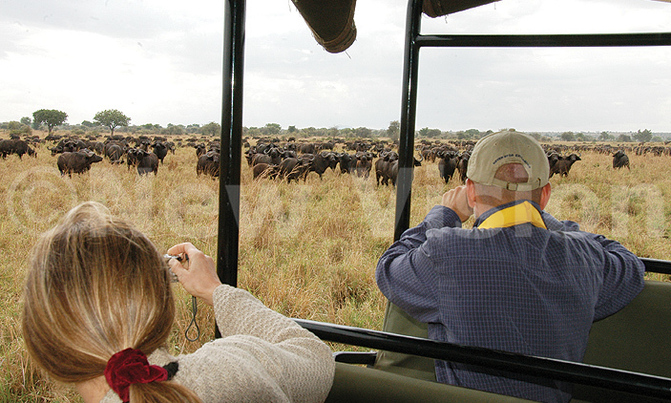 World tourism numbers hit record 1.18 billion in 2015: UN World tourism numbers hit record 1.18 billion in 2015: UN