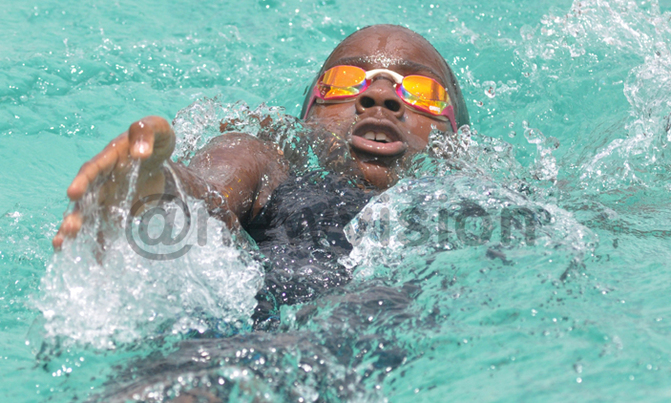 USF Sprints gala puts competitive swimming into perspective USF Sprints gala puts competitive swimming into perspective