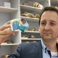 HUNGARY-BUDAPEST-DISCOVERY-DINOSAUR SKULL FOSSIL