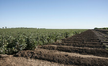  The CSIRO would like to interview irrigators. Picture courtesy CSIRO.