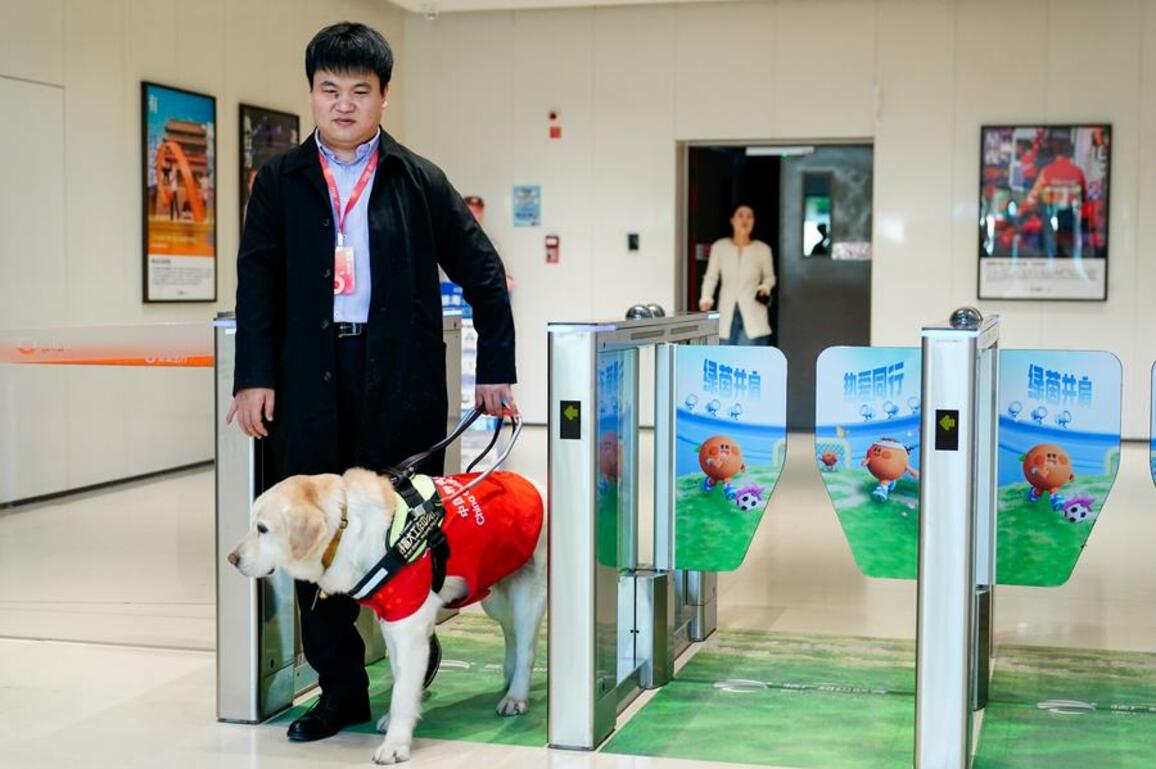 Guide dogs help visually impaired individuals secure easier living