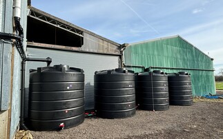 Rainwater harvesting systems could save water and money