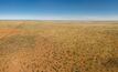 The Tanami Desert. Photo: Stephen Ridgway