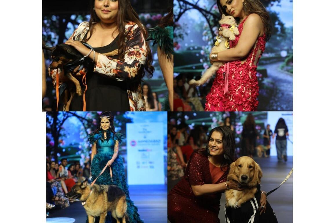 Tails and Threads Pet Couture by Archana Jain Shines at Ahmedabad Fashion Week Season 3 with Barkville Foundation