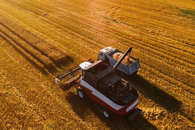 Russia makes up 20% of global wheat exports minister