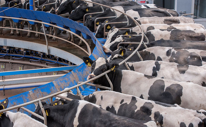 Farm vets lobby Government for minimum milk pricing