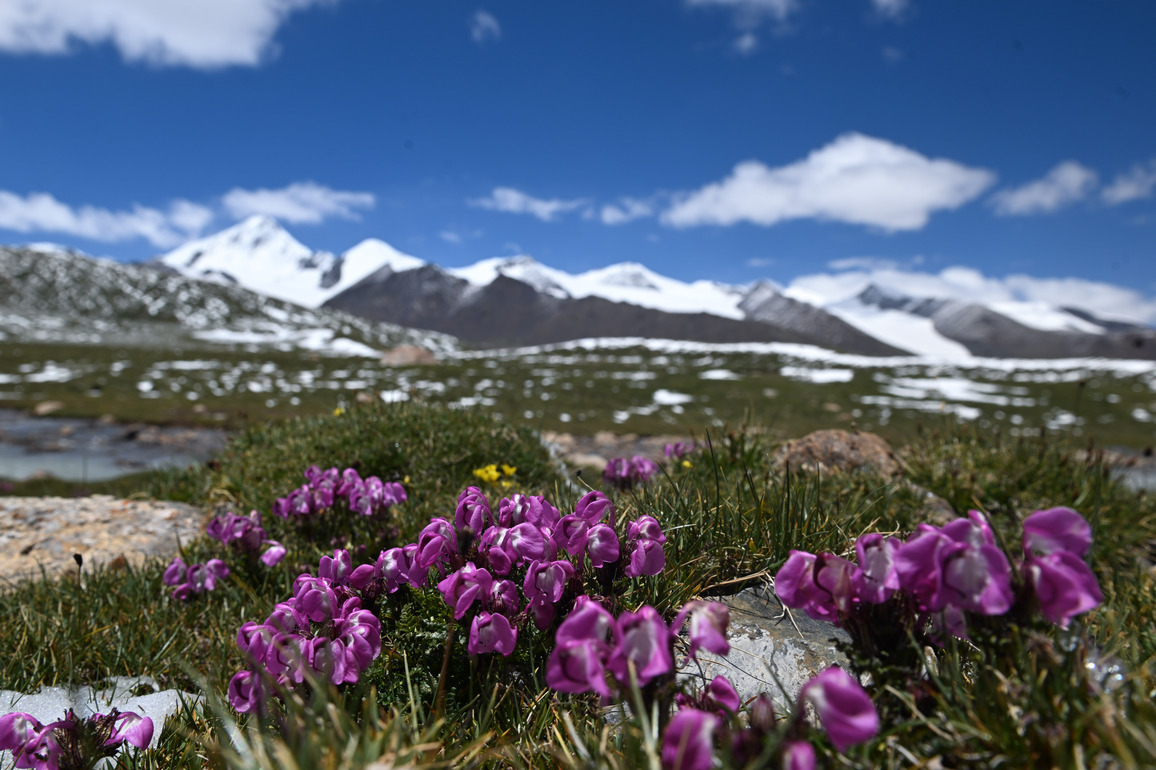 Chinese scientists uncover drivers of divergent climate changes across Asia