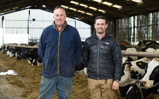 Flying herd policy reduces business risk for County Durham dairy farmers 