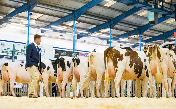 Three pedigree Holstein breeders share their goals for performance improvement in the year ahead.