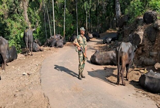 BSF Meghalaya foils smuggling attempts at Indo-Bangladesh border