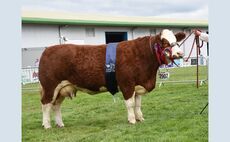 ROYAL HIGHLAND SHOW: Simmentals win double 