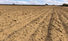 Sustaining soil in a tough season