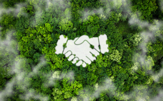 Advisers' Sustainability Group questions FCA over sustainable advice views