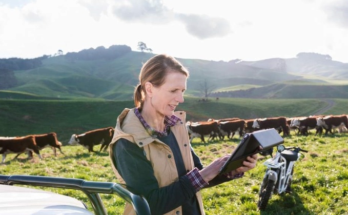 Monitoring grass growth from space