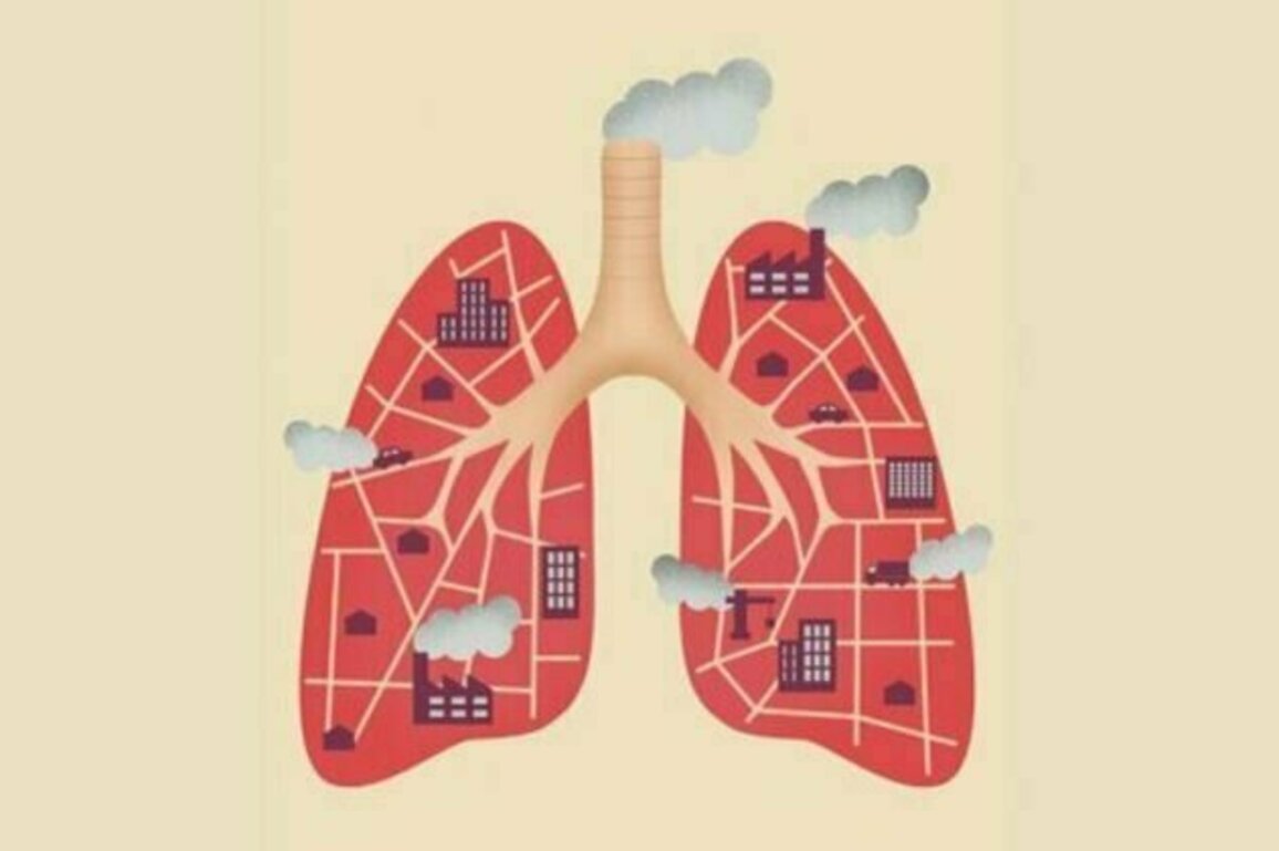 Air Pollution May Contribute to Lung Cancer, New Study Finds