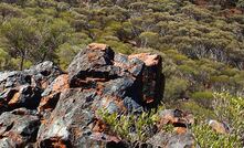  Mt Bevan landscape