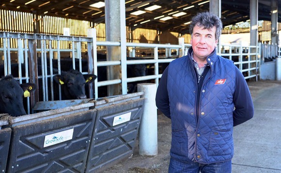 Targeting faster finishing and improved feed efficiency