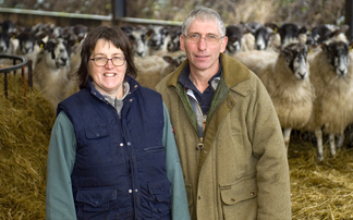 Sheep special: Sheep project helps focus on lameness