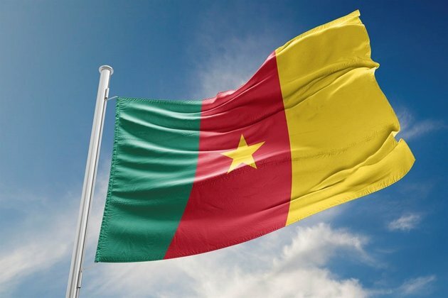 Cameroon women&#039;s opposition figure jailed for six months