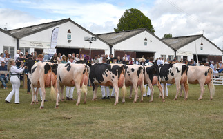 Great Yorkshire Show: Holstein takes dairy inter-breed title