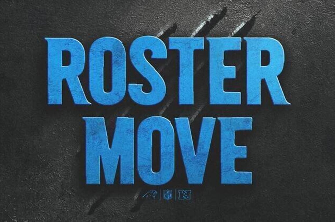 Panthers add defensive back to roster