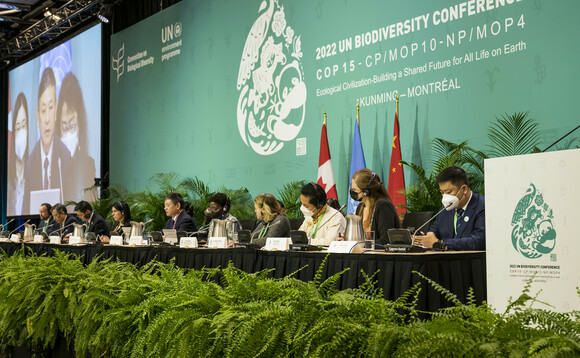 The closing plenary of the high level segment of COP15 | Credit: CBD