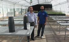  UWA Institute of Agriculture researcher Dr Zakaria Solaiman and PhD student Muhemmad Izhar Shafi at the university greenhouse that will host the SOP studies.