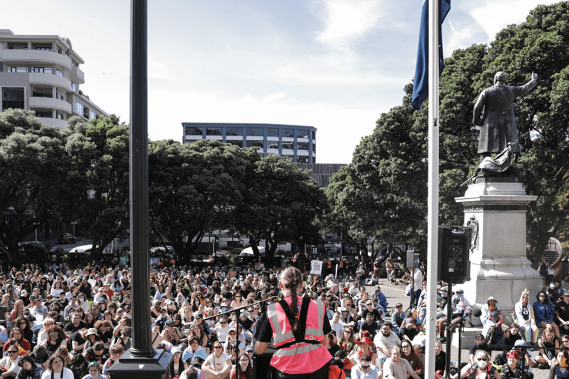Hundreds march in Wellington to support access for puberty blockers, gender affirming care