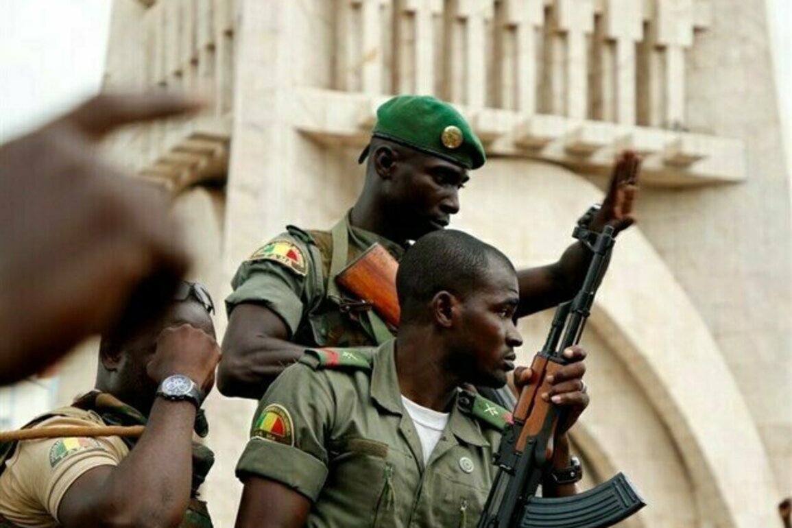 France Says Malis Arrest of Embassy Worker on Coup Charges Unfounded