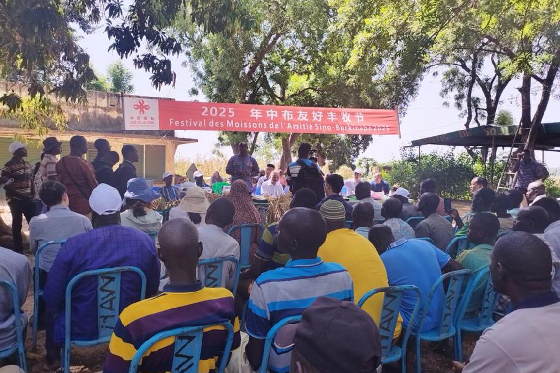 (Hello Africa) China, Burkina Faso celebrate rice harvest, highlight closer agricultural cooperation