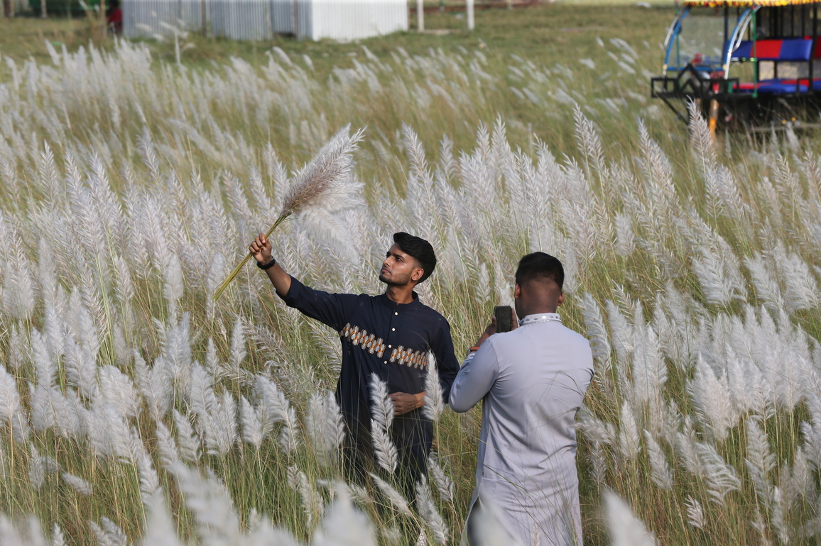 BANGLADESH-DHAKA-KANS-GRASS