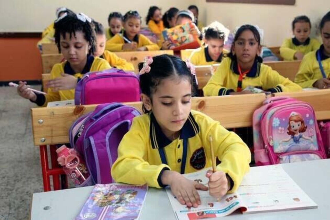 Egypt: Declining Funding Undermines Education, Health Care