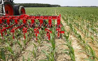 Artificial intelligence in farming: The hidden carbon cost of AI