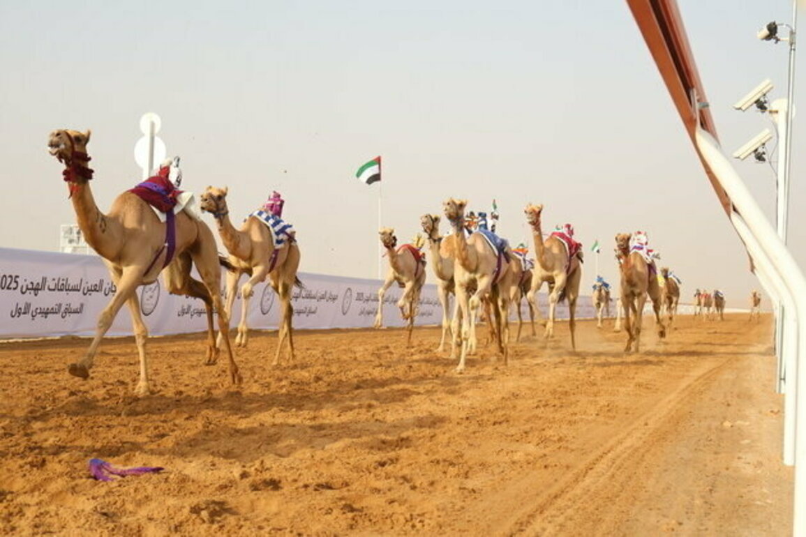 Al Ain Camel Racing Festival kicks off