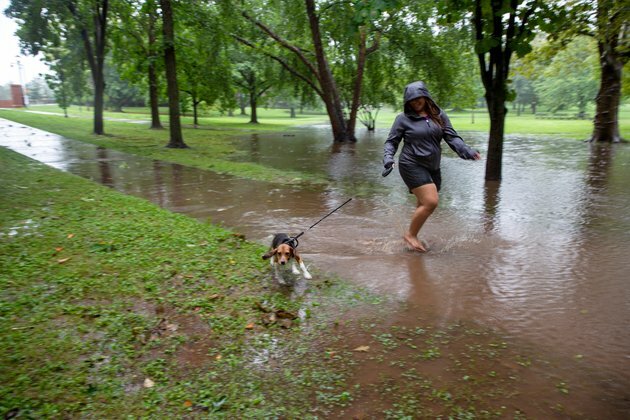 Heavy Rain in Northeastern US as Tropical Storm Henri Makes Landfall