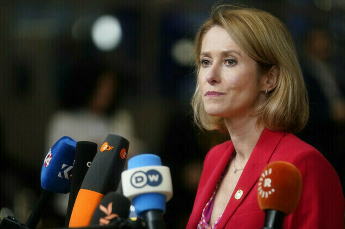 EUs top diplomat unhappy over Putin-Trump peace summit