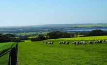 Two winners for NSW Farmer of the Year award