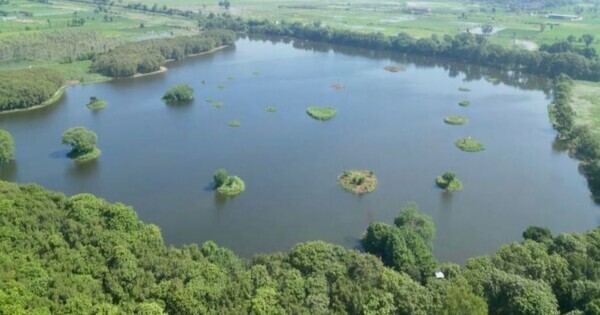 Shekha Jheel Bird Sanctuary in UP added to Ramsar list, marking 12th site in state and 99th in India