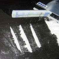 Huge drug bust in Ireland as Gardaí seize 8.1 million euros of cocaine