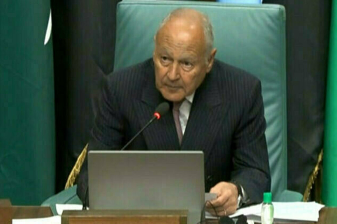 Aboul Gheit: We condemn ongoing Israeli attacks on Syrian territory